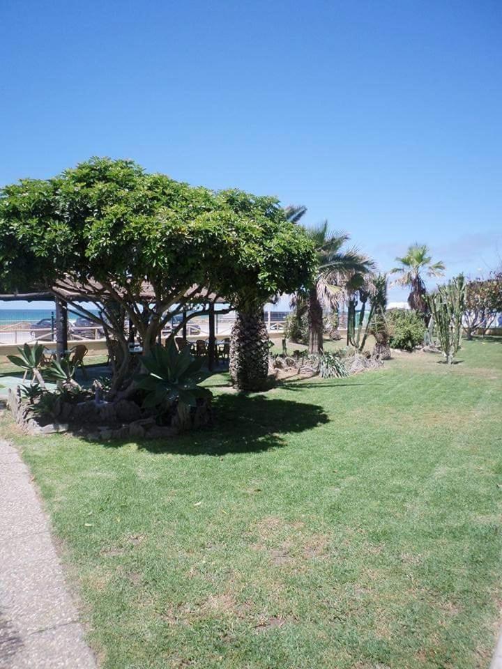 Hostal Restaurante La Ilusion El Palmar  Zewnętrze zdjęcie