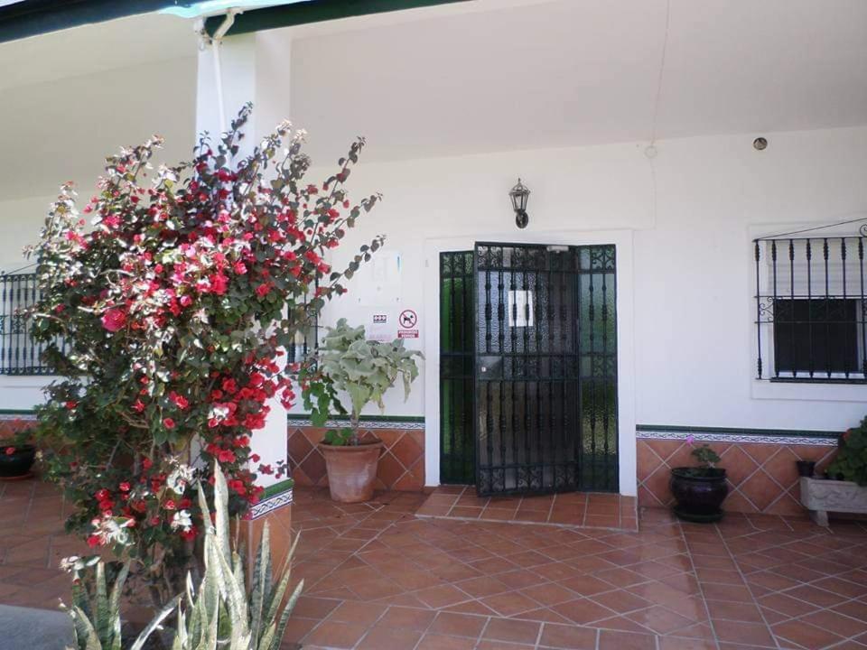 Hostal Restaurante La Ilusion El Palmar  Zewnętrze zdjęcie